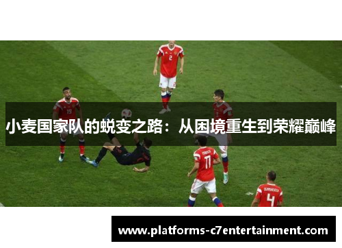 小麦国家队的蜕变之路：从困境重生到荣耀巅峰
