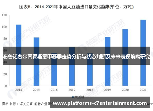 布鲁诺费尔南德斯意甲赛季走势分析与状态判断及未来表现前瞻研究