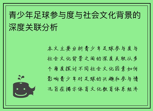 青少年足球参与度与社会文化背景的深度关联分析 青少年足球参与度与社会文化背景的深度关联分析